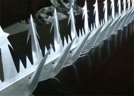 Κορυφές των ακίδων ασφάλειας τοίχων Cobra φρακτών που ολοκληρώνουν την ακίδα 11cm ξυραφιών σχέδιο
